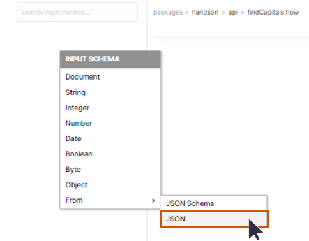 INPUT SCHEMA